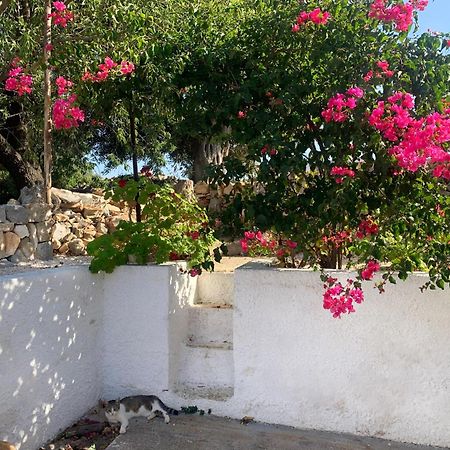 Willa Bei Tempi Polignano a Mare Zewnętrze zdjęcie