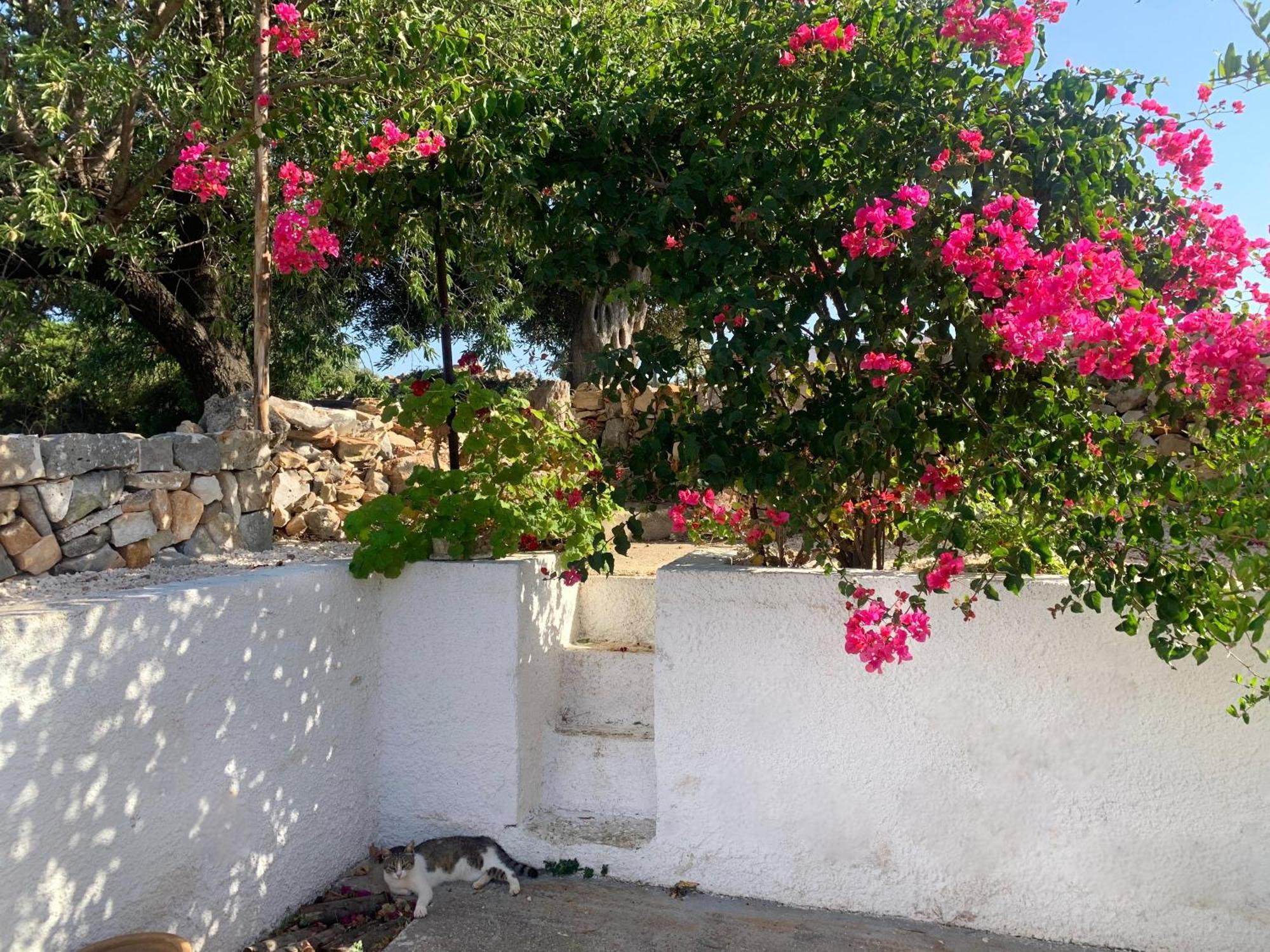 Willa Bei Tempi Polignano a Mare Zewnętrze zdjęcie